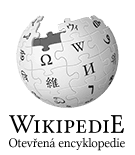 Your Company